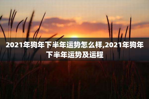2021年狗年下半年运势怎么样,2021年狗年下半年运势及运程