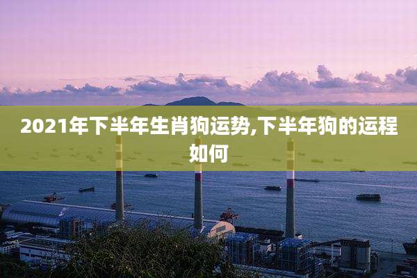 2021年下半年生肖狗运势,下半年狗的运程如何