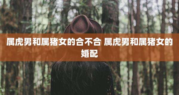 属虎男和属猪女的合不合 属虎男和属猪女的婚配
