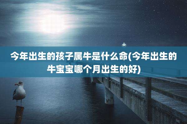 今年出生的孩子属牛是什么命(今年出生的牛宝宝哪个月出生的好)