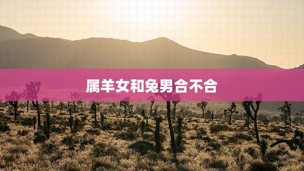属羊女和兔男合不合