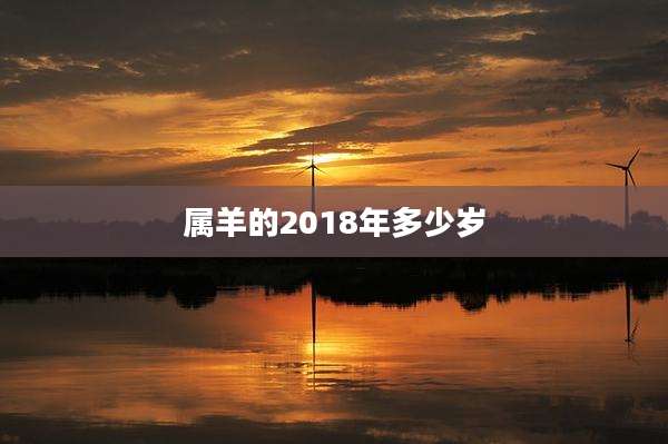属羊的2018年多少岁