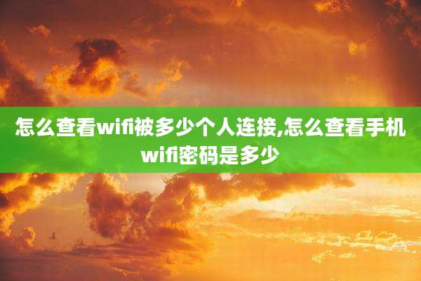 怎么查看wifi被多少个人连接,怎么查看手机wifi密码是多少
