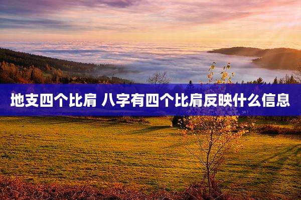地支四个比肩 八字有四个比肩反映什么信息