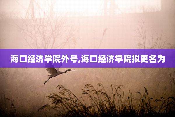 海口经济学院外号,海口经济学院拟更名为