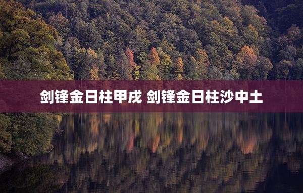 剑锋金日柱甲戌 剑锋金日柱沙中土
