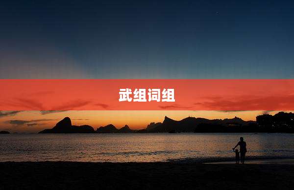 武组词组