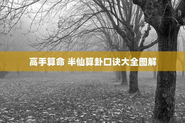 高手算命 半仙算卦口诀大全图解