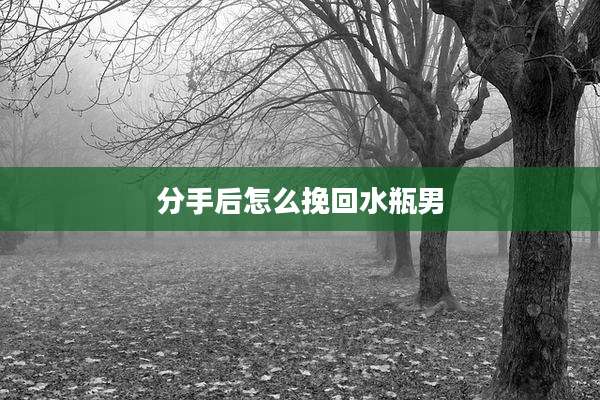 分手后怎么挽回水瓶男