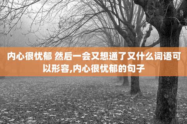 内心很忧郁 然后一会又想通了又什么词语可以形容,内心很忧郁的句子