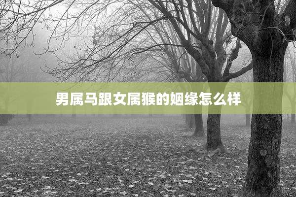 男属马跟女属猴的姻缘怎么样