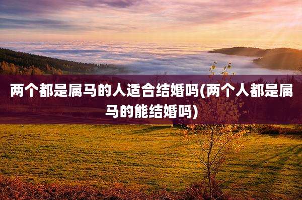 两个都是属马的人适合结婚吗(两个人都是属马的能结婚吗)