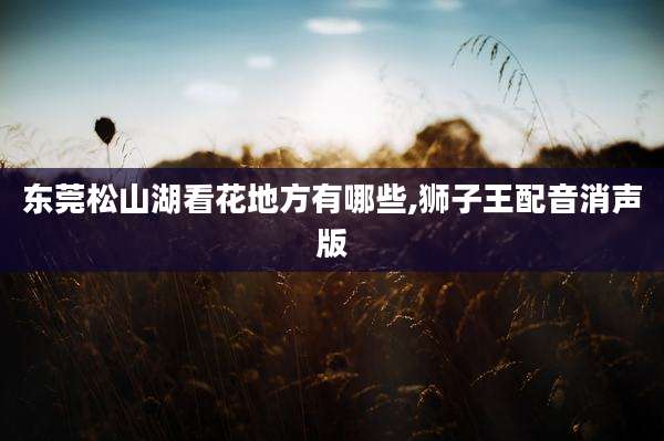 东莞松山湖看花地方有哪些,狮子王配音消声版