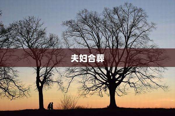 夫妇合葬