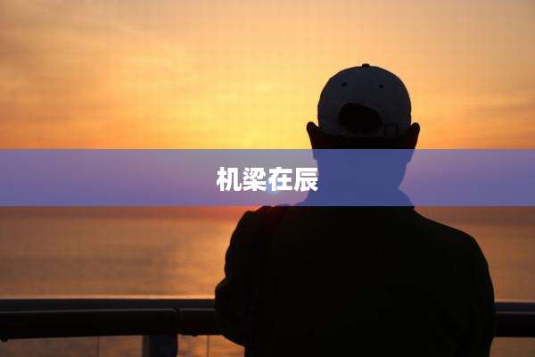 机梁在辰