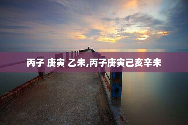 丙子 庚寅 乙未,丙子庚寅己亥辛未