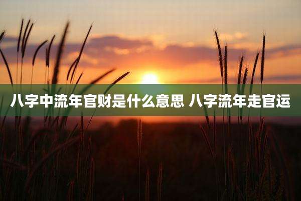 八字中流年官财是什么意思 八字流年走官运