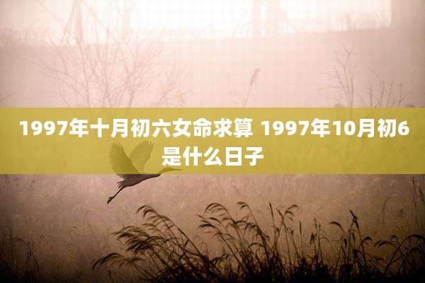 1997年十月初六女命求算 1997年10月初6是什么日子