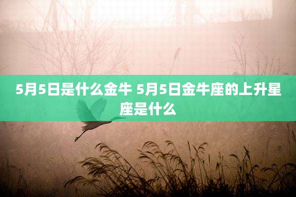 5月5日是什么金牛 5月5日金牛座的上升星座是什么