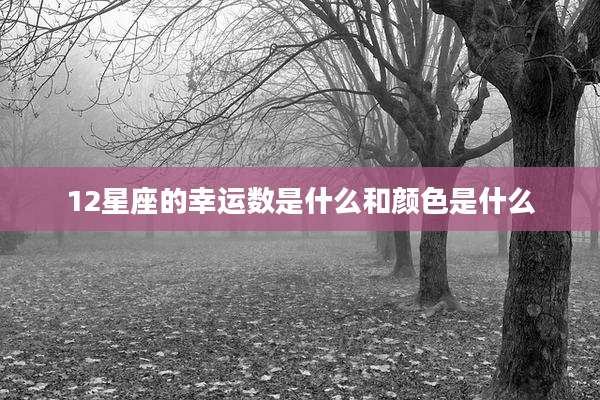 12星座的幸运数是什么和颜色是什么