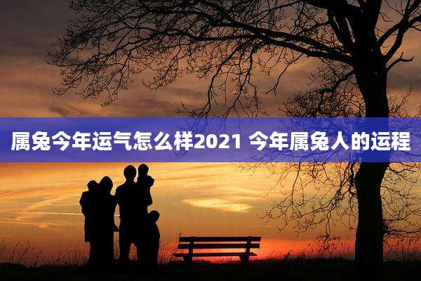 属兔今年运气怎么样2021 今年属兔人的运程