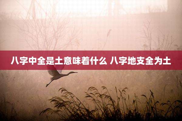八字中全是土意味着什么 八字地支全为土