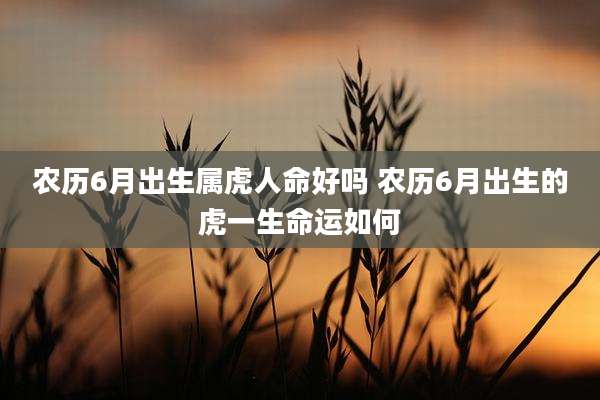 农历6月出生属虎人命好吗 农历6月出生的虎一生命运如何