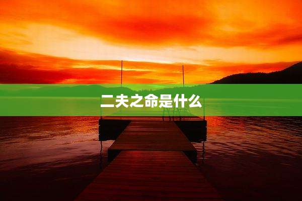 二夫之命是什么