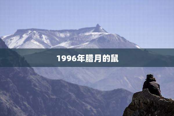 1996年腊月的鼠