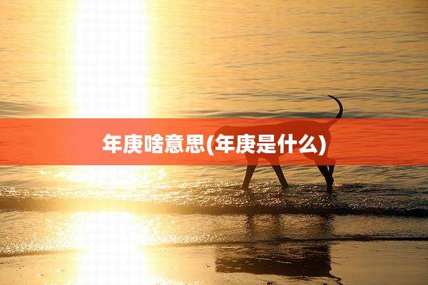年庚啥意思(年庚是什么)