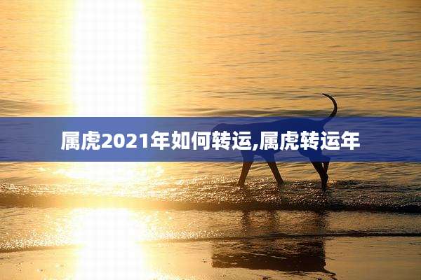 属虎2021年如何转运,属虎转运年