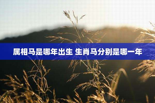 属相马是哪年出生 生肖马分别是哪一年