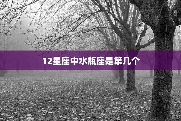 12星座中水瓶座是第几个