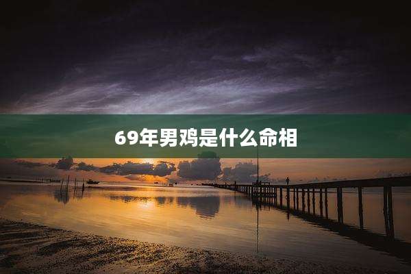 69年男鸡是什么命相
