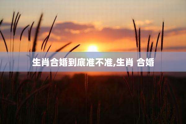 生肖合婚到底准不准,生肖 合婚