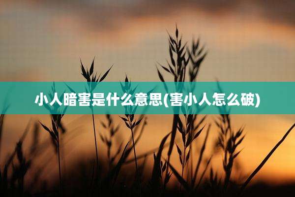 小人暗害是什么意思(害小人怎么破)