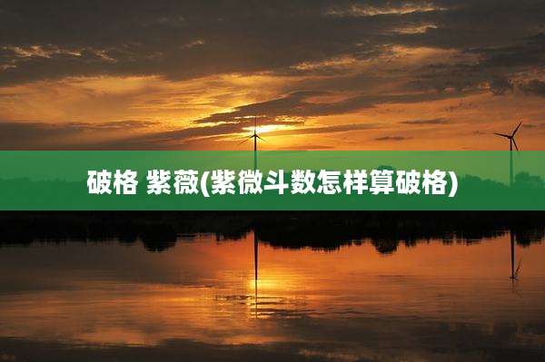 破格 紫薇(紫微斗数怎样算破格)