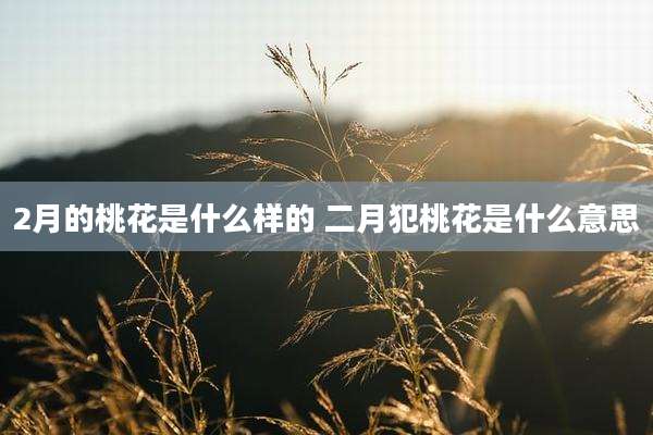 2月的桃花是什么样的 二月犯桃花是什么意思