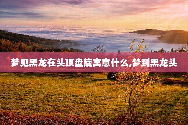 梦见黑龙在头顶盘旋寓意什么,梦到黑龙头