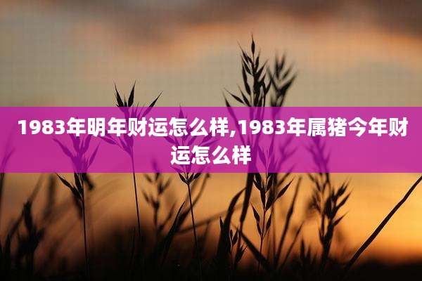 1983年明年财运怎么样,1983年属猪今年财运怎么样