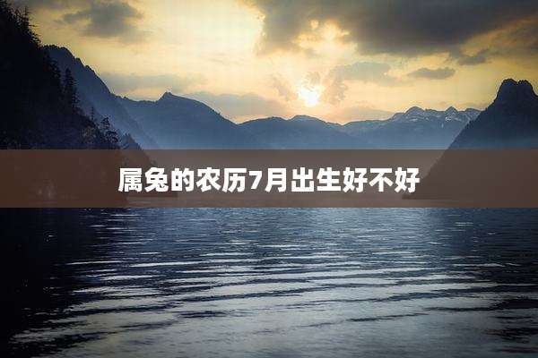 属兔的农历7月出生好不好