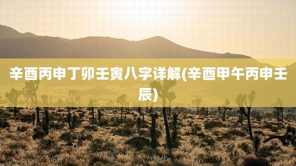 辛酉丙申丁卯壬寅八字详解(辛酉甲午丙申壬辰)