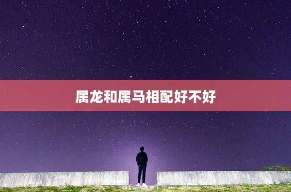属龙和属马相配好不好