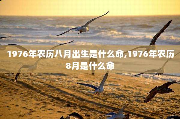 1976年农历八月出生是什么命,1976年农历8月是什么命