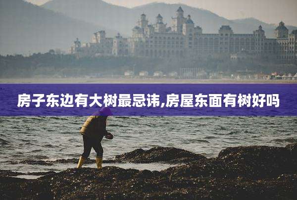 房子东边有大树最忌讳,房屋东面有树好吗