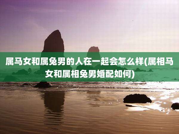 属马女和属兔男的人在一起会怎么样(属相马女和属相兔男婚配如何)
