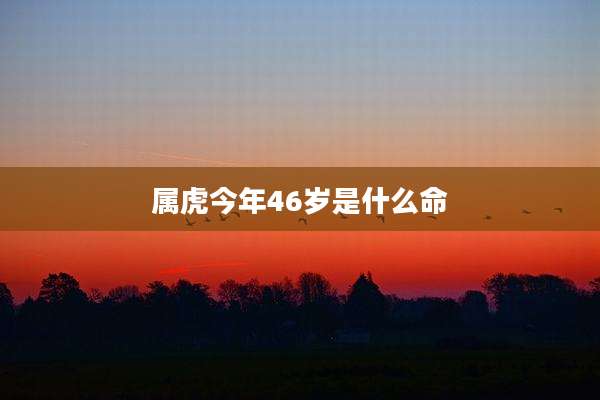 属虎今年46岁是什么命