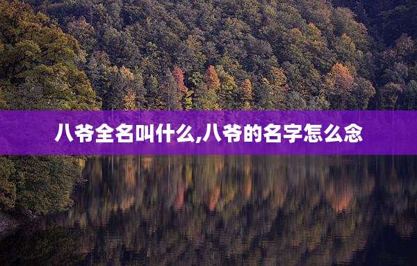 八爷全名叫什么,八爷的名字怎么念