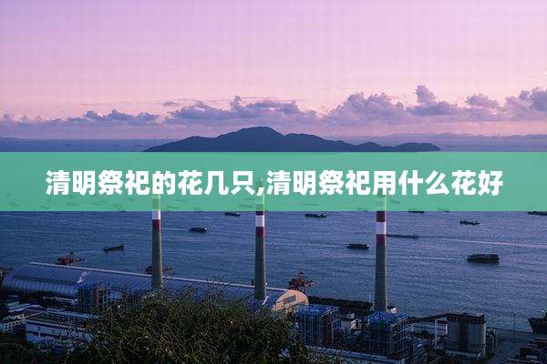 清明祭祀的花几只,清明祭祀用什么花好