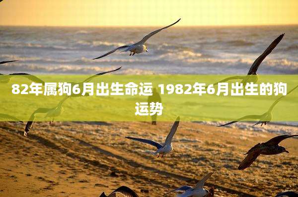 82年属狗6月出生命运 1982年6月出生的狗运势